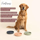 The Slowdown Bowl Silicone Slow Feeder for Dogs & Puppies, Slow Eating Modern Lick Mat Design Reduces Gulping, Fits 2 Cups 7.5” Across x 1.5” Tall, Mealtime Challenge, Medium-Sage by CozyNest Decor