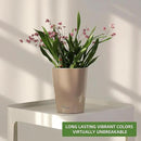 Dexceder 6x7 Self Watering Planter Indoor Outdoor, High Gloss Table Flower Plant Pot with Water Level Indicator (Taupe) by CozyNest Decor
