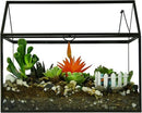 Black 1 Large Glass Plant Terrarium Kit with Lip Greenhouse for Succulents by CozyNest Decor