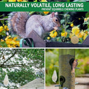 Squirrel Repellent Outdoor, Chipmunk Repellent for Attic/Garden/Bird Feeders/Plants/Cars, Deterrent Squirrels, Keep Chipmunks Away-Pack of 12 by TinyTreasures Baby Boutique