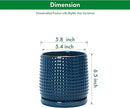 D'vine Dev Set of 2 Ceramic Plants Pots, 6 Inch Beaded Stoneware Flower Pot for Plants with Drainage Hole and Saucer, Midnight Blue, 27-E-X-3 by GreenHaven Gardens