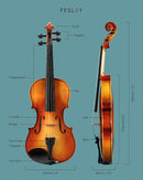 Fesley Violin Fiddle Full Set: 4/4 Polished Violin Kit for Beginners, Acoustic Violin with Hard Case, Solidwood Hand Made Starter Kit with Bow, Rosin, Shoulder Rest, Tuner, Extra Strings by TinyTreasures Baby Boutique