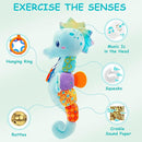 Fuzqq Baby Toys 0-6 Months,Musical Stuffed Animal Plush Toy with Rattle,Soft Newborn Toy for 0 3 6 9 12 Months Girls,Baby Boy Gift,Blue by TinyTreasures Baby Boutique