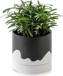 Nihow Ceramic Plant Pot: 6 Inch Planter with Drainage Hole & Saucer for Indoor & Outdoor Plants - Cylinder Round Flower Pot for Succulent/Herbs/Violets - Black & Wave White by CozyNest Decor
