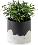 Nihow Ceramic Plant Pot: 6 Inch Planter with Drainage Hole & Saucer for Indoor & Outdoor Plants - Cylinder Round Flower Pot for Succulent/Herbs/Violets - Black & Wave White by GreenHaven Gardens