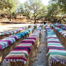 Del Mex Classic Mexican Blanket, Large Authentic Woven Falsa Throw (70"x50"), Artisan Southwest Décor for Beach, Yoga, Outdoors (Mint/Tan/Pink) by CozyNest Decor