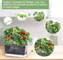 Self Watering Planters for Indoor Plants, 4 Pack Rectangular Clear Plant Pots with Drainage Holes for Spider Plant African Violet, Plant Growth Observations Plant Box for Kids by GreenHaven Gardens
