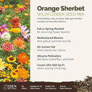 Eden Brothers Orange Sherbet Flower Mixed Seeds for Planting, 1/4 lb, 120,000+ Seeds with Cosmos Picotee, Bright Lights | Attracts Pollinators, Plant in Spring or Fall, Zones 3, 4, 5, 6, 7, 8, 9, 10 by GreenHaven Gardens