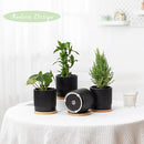 AOMRYOM 4.25 Inch Small Garden Ceramic Plant Pots with Drainage Holes and Tray, Modern Flower Planter Pots for Indoor Plants, Succulent, Cactus and Herbs, Black Stripe, Set of 4 (Plant Not Included) by GreenHaven Gardens