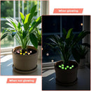 60 pcs Mini Luminous Fruits Vegetables Figurines, Resin Tiny Artificial Fruit Vegetables Glow in The Dark, Fake Miniature Food Decoration for DIY Art Crafts Miniature Landscapes Garden Home by GreenHaven Gardens