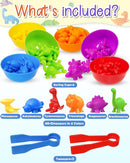 Yetonamr Counting Dinosaurs Montessori Toys for 3 4 5 Years Old Boys Girls, Toddler Preschool Learning Activities Sensory Toys Birthday Gifts by TinyTreasures Baby Boutique