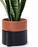 6.5 Inch Self-Watering Planter Pot with Terracotta Insert, Deep Water Reservoir, and Ceramic-Alike BPA-Free Plastic Pot for Plant, Modern Planter for Houseplants, Black/Terracotta, 53-B-S-5 by GreenHaven Gardens