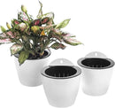 3 Pack Self Watering Wall Hanging Planter Pots Vertical Garden Window Hang Mount Indoor Outdoor Plant Flower Basket for Kitchen Herbs Balcony Railing Shelf Fence Bedroom Trellis Decor Modern White Box by CozyNest Decor
