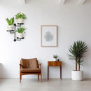 Rotating Window Wall Plant Shelves Stand Holder, 3 Tiered Metal Floating Plant Shelf Hanger Indoor , Window Sill Gifts by GreenHaven Gardens