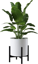 FaithLand Mid Century Plant Stand Indoor Outdoor(Plant Pot Not Included), Hold Up to 14 Inch Planter, Metal Planter Stand, Potted Plant Holder, Black - Fits Snake Plant - Upgraded Design by GreenHaven Gardens