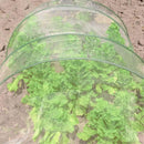 4Ft x 100Ft Mosquito Bug Insect Bird Fine Mesh Net Barrier Hunting Blind Garden Screen Netting for Protect Your Plant Fruits Flower by GreenHaven Gardens