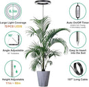 LORDEM Black Full Spectrum LED Grow Light, 72 LEDs, 4 Brightness Settings, Auto On/Off Timer, Height Adjustable, Ideal for Large Plants by GreenHaven Gardens