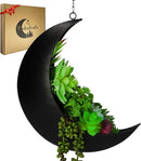 Black Hanging Moon Planter with Drain Holes - Moon Room Decor - Unique Planters for Succulents,Air Plant, Cactus, Artificial Plants- Plant Lover Gifts - Boho,Hippie, Birthdays,Witchy Gifts for Women by GreenHaven Gardens