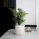 Plant Pots - 7.7 inch Cement Planters Indoor - Modern Grey Flower Pot with Drainage Hole - Home Office Decor by GreenHaven Gardens