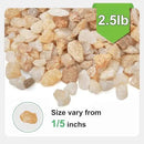 2.5 lbs Coarse Silica Sand for Indoor Plants, 1/5 Inch Natural Decorative Gravel for Vases, Aquariums, Terrarium, Fish Tank, Drainage Rocks for Potted Plants, Bamboo, Succulent, Crafts, Cactus by CozyNest Decor