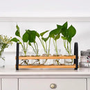 Plant Propagation Stations with Wood Stand, Desktop Plant Terrarium for Propagating Hydroponic, Flower Vase for Home Kitchen Office Decor, Plant Lover Gifts by GreenHaven Gardens