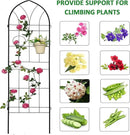 2 Pack Metal Garden Trellis 78.7" H Garden Fence Rustproof Trellis for Climbing Plants Support Roses Flower Outdoor Lawn Black by GreenHaven Gardens