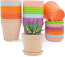 4 inch Plant Pots, 28 Pack Small Plastic Planters with Drainage Holes and Saucers for Flowers Plants, Succulents, Seed Starting Pots, Colorful by GreenHaven Gardens