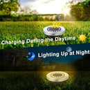 Solar Ground Lights-Waterproof Solar Lights Outdoor Garden- Solar Disk Lights-Upgraded 16LED Bright in-Ground Lights-Landscape Lights for Pathway, Yard, Lawn, Patio, Walkway (12 Pack Warm Light) by GreenHaven Gardens