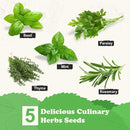 5 Herb Seeds Garden Starter Kit with Complete Planting Kit & Wooden Flower Box, Growing into Basil, Parsley, Rosemary, Thyme, Mint for Kitchen Windowsill Herb Garden DIY by GreenHaven Gardens