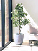 Kante 14 Inch Dia Round Concrete Planter, Indoor Outdoor Large Plant Pot with Drainage Hole and Rubber Plug for Home Patio Garden, Gray by GreenHaven Gardens