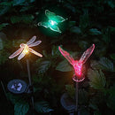Anordsem Solar Lights Outdoor Decorations: Garden Stake Light Waterproof for Yard Decor Outside - LED Dragonfly Hummingbird Butterfly Lamp for Patio Pathway Home by GreenHaven Gardens