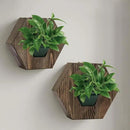 Hexagonal Wooden Wall Planter, Self Watering Living Vertical Planter Indoor, Wooden Frame Planter Wall Decoration Home Office,2pc Walnut by CozyNest Decor