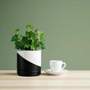 D'vine Dev 4.6 Inch Ceramic Planter Pot with Drainage Hole and Saucer, Indoor Cylinder Round Planter Pot, Oblique Monochrome Black and White, 94-O-B-K by GreenHaven Gardens
