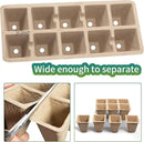 200Cells Seedling Start Trays with Drain Holes,20pcs Peat Pots Seedling Pots Biodegradable,Seedling Starter Kit,Organic Germination Plant Starter Trays(200xLabels,2xTransplant Tools,1xSpray Bottle) by GreenHaven Gardens