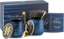 Hasense Coffee Mugs, 15 Ounce Porcelain Mugs Set of 2 with Handle for Morning Coffee Tea and Cocoa, Ceramic Coffee Cups Gift Box with Beautiful Glaze Coasters Spoons for Men and Women, Navy by CozyNest Decor