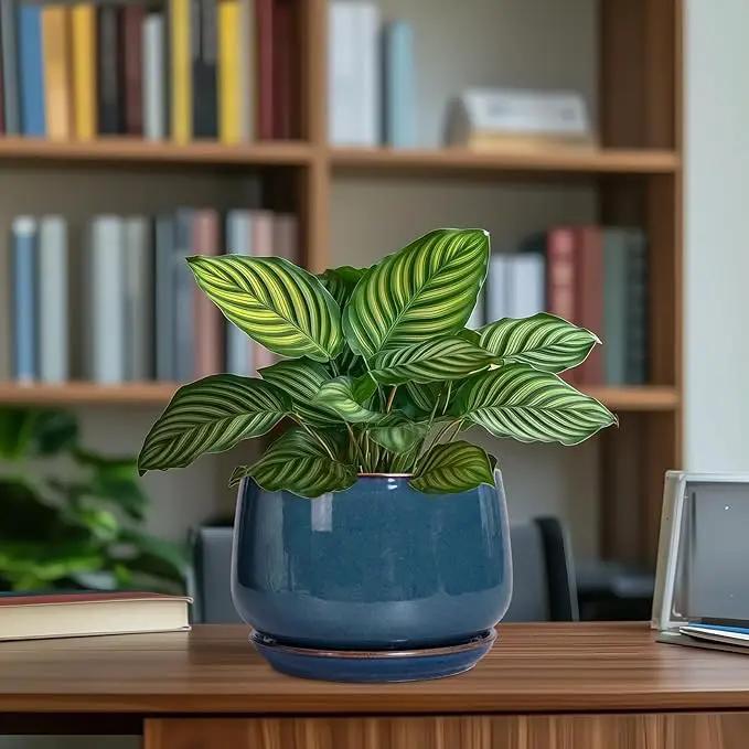 G EPGardening Ceramic Pot for Plants - Modern 7 Inch Round Planter with Drainage and Tray Indoor Outdoor for Flower, Porch Decor, Gardening Gifts, Retro Blue, photo 8 of 8