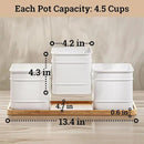 Herb Planter Indoor - 3 Iron Herb Pots with Drainage Holes, Varnished Bamboo Tray, Customizable Labels & Marker Pen - Indoor Herb Garden Planter - 3 Pots for Herbs - Inside Spice Garden - Basil Pot by GreenHaven Gardens