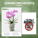 5" Ceramic Orchid Pots with Holes | Crackle Glazed Orchid Pot with Drainage and Separate Saucer | Ideal Plant Pot for Repotting Orchids and Other Flowers(Green) by GreenHaven Gardens