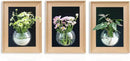 Natural Wooden Frame Wall Hanging Planter for Hydroponic Plants, 12'' x16''inch Wall Vase with Round Acrylic Propagation Station，Bathroom, Office, or Living Room Décor, Set of 3 by CozyNest Decor