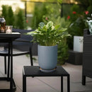 Ceramic Pot for Plants - 8 Inch Plant Pot for Indoor Plants Outdoor Ceramic Planter Large Flower Pot with Drainage Hole and Saucer for Home Garden Decor Gray by GreenHaven Gardens