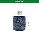 D'vine Dev 5 Inch Embossed Leaves Stoneware Planter Pot with Drainage Hole and Saucer, Midnight Blue, 27-A-V-3 by GreenHaven Gardens