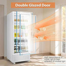 Tylza Commercial Refrigerator with Glass Door Display Beverage Fridge, 14.8 Cu Ft Upright Beverage Cooler Merchandiser with Rebound Door, Low Noise, Fast Cooling, White by CozyNest Decor