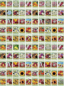 Set of 1000 Assorted Valley Green Flower Seed Packets! Flower Seeds in Bulk - 20+ Varieties Available! (1000) by GreenHaven Gardens