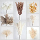 130 PCS Dried Pampas Grass Bouquet, Boho Table Decor, Bunny Tails Dried Flowers, Brown Pampas, Fluffy Pompas, White Pampas Grass for Weddings, Home Decor, Rustic Parties, and Baby Shower Decorations by CozyNest Decor