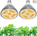 LED Grow Light Bulb for Indoor Plants Full Spectrum, 320W Equivalent Plant Light Bulb, E26 Base, 4000K Plant Grow Light Bulb, Grow Bulb for Indoor Plants, Pack 2 by GreenHaven Gardens