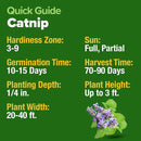 HOME GROWN 𝗨𝗦𝗔 𝗣𝗥𝗘𝗠𝗜𝗨𝗠 Catnip Seeds (Bulk Pack) 𝗡𝗢𝗡-𝗚𝗠𝗢 Heirloom Herb 2,116 Seeds - Indoor or Outdoor Seed - High-Germination Cat Nip - Cat Safe Plants (Nepeta cataria) by GreenHaven Gardens
