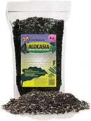 Alocasia Potting Mix - Promote Strong Roots and Captivating Foliage with Our Premium Blend - 4 Quart, MAIN-ALOCASIA-4QT by GreenHaven Gardens