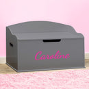 DIBSIES Personalized Creative Wonders Toy Box, Signature Series for Girls, 30 x 19.25 x 18 inches, Soft-Close Lid (Dovetail Grey) by TinyTreasures Baby Boutique