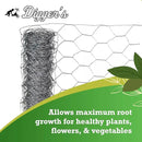 Digger’s 1-Gallon Heavy-Duty Wire Basket - Gopher Wire Basket for Perennials & Vegetables (12 Baskets) by GreenHaven Gardens