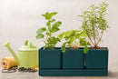 D'vine Dev Herb Garden Planter Set, Plastic Plant Pots with Drainage and Saucer, Indoor Succulent Cactus Vegetable Pot for Windowsill, Garden Balcony, Green, Set of 2, 76-V-C-2 by GreenHaven Gardens